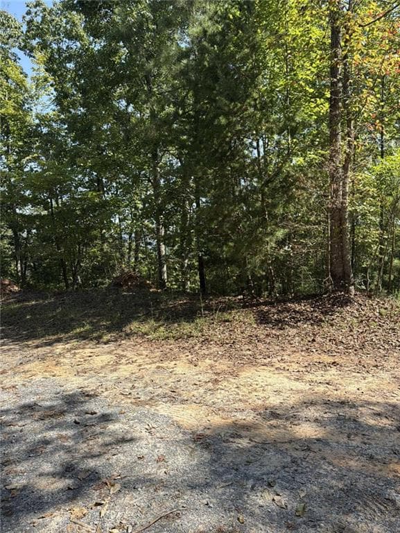 single family residence for sale at 946 Aurora Lane, Ranger, GA 30734 — photo 6