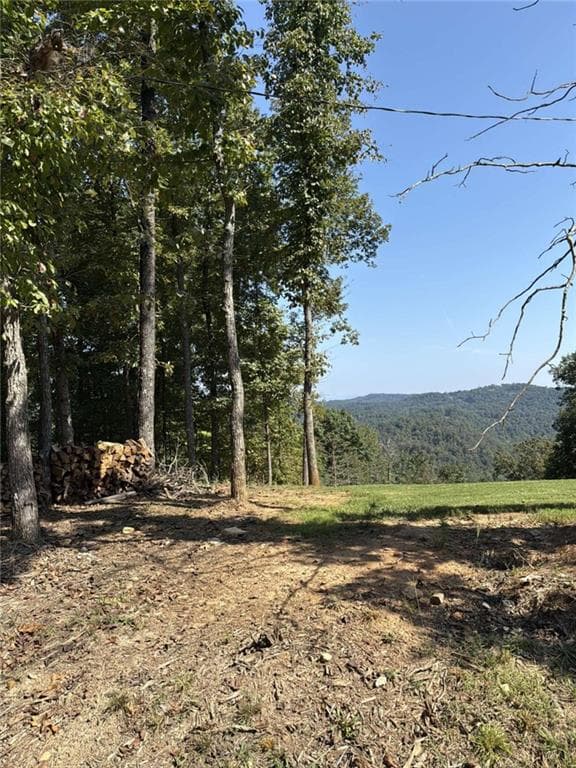 single family residence for sale at 946 Aurora Lane, Ranger, GA 30734 — photo 8