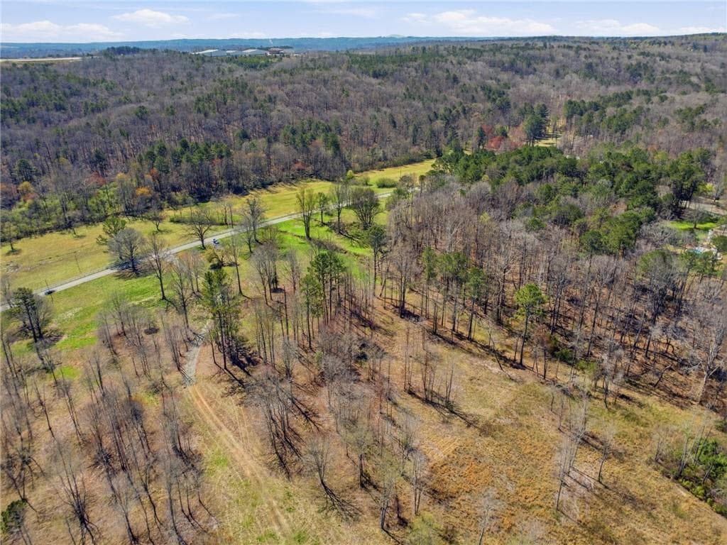 single family residence for sale at 2201 Long Road, Ball Ground, GA 30107 — photo 8
