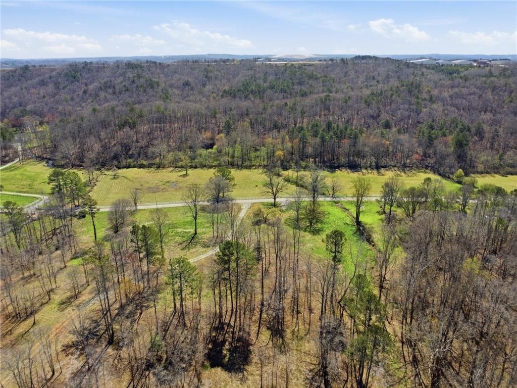 single family residence for sale at 2201 Long Road, Ball Ground, GA 30107 — photo 9