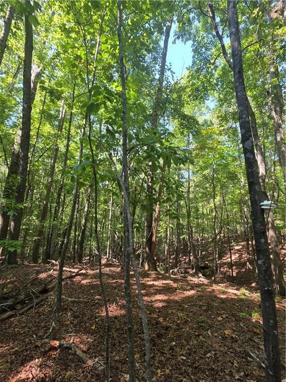 unimproved land for sale at 0 Browntown Road, Rockmart, GA 30153