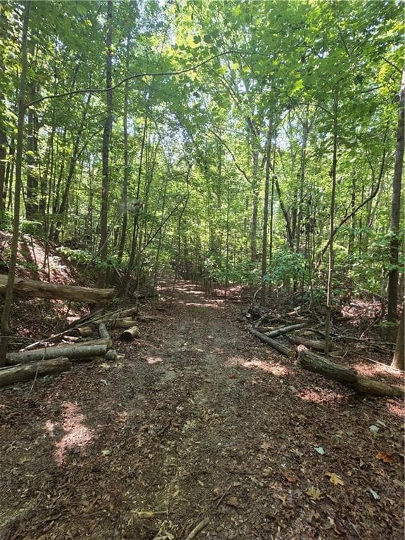 unimproved land for sale at 0 Browntown Road, Rockmart, GA 30153 — photo 4