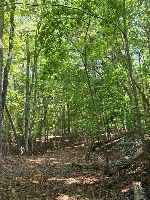 unimproved land for sale at 0 Browntown Road, Rockmart, GA 30153 — photo 5