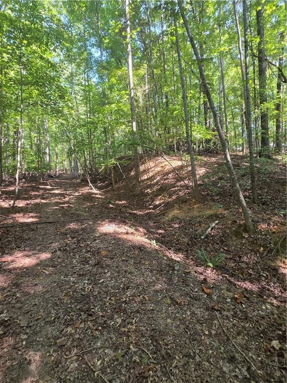 unimproved land for sale at 0 Browntown Road, Rockmart, GA 30153 — photo 6