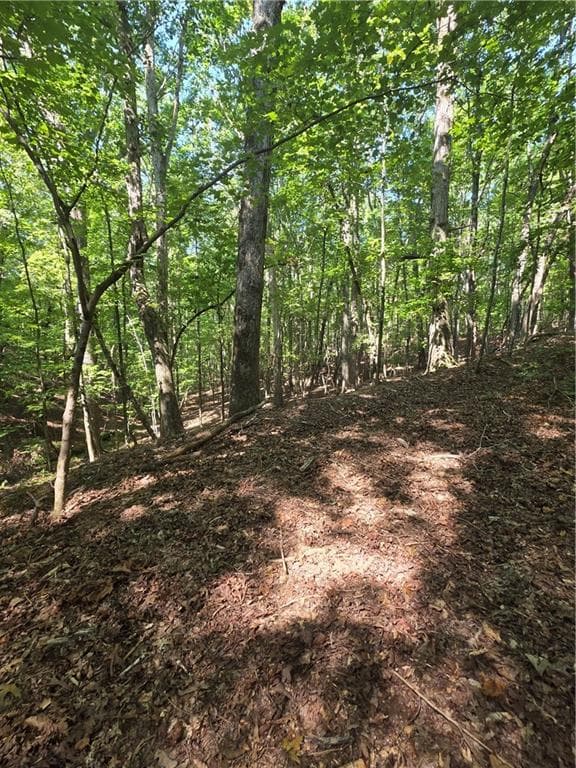 unimproved land for sale at 0 Browntown Road, Rockmart, GA 30153 — photo 7
