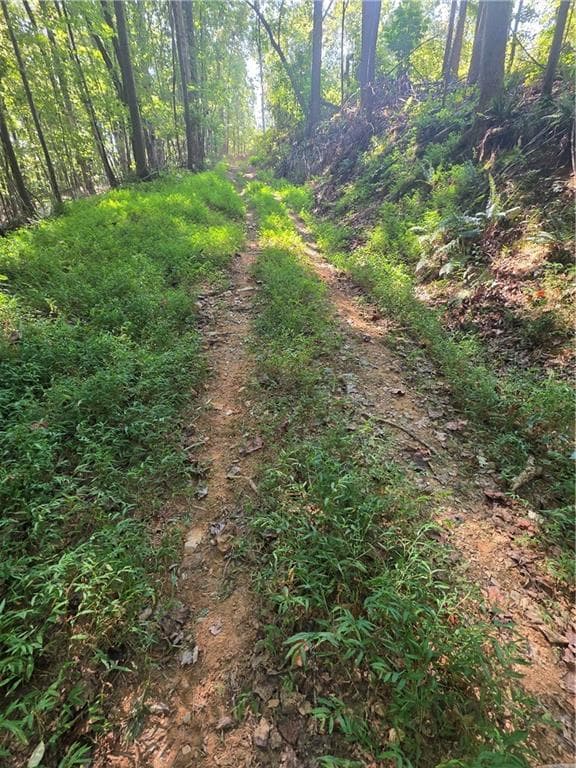 unimproved land for sale at 0 Browntown Road, Rockmart, GA 30153 — photo 8