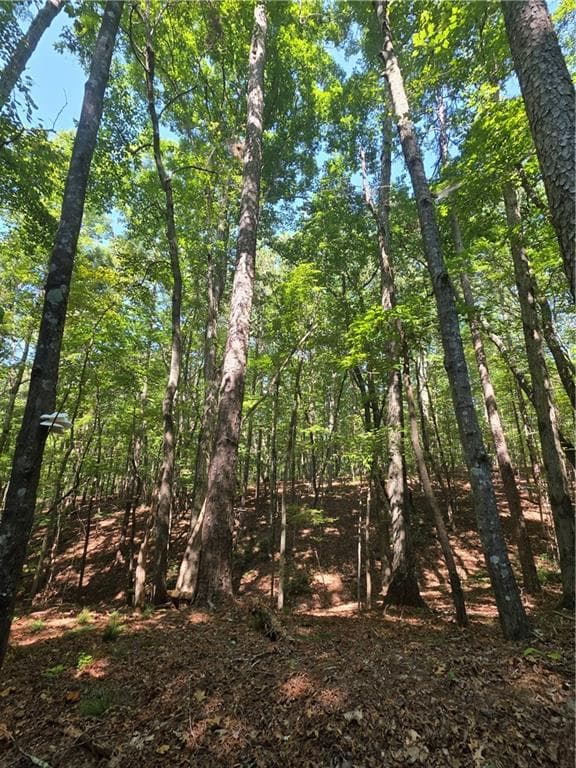 unimproved land for sale at 0 Browntown Road, Rockmart, GA 30153 — photo 9