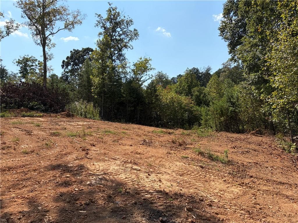 3 bedroom, 2 bathroom, 1,653 sq ft single family residence for sale at 3 Blue Mountain Road, Morganton, GA 30560 — photo 8