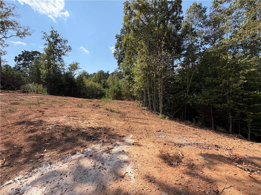 3 bedroom, 2 bathroom, 1,653 sq ft single family residence for sale at 3 Blue Mountain Road, Morganton, GA 30560 — photo 10