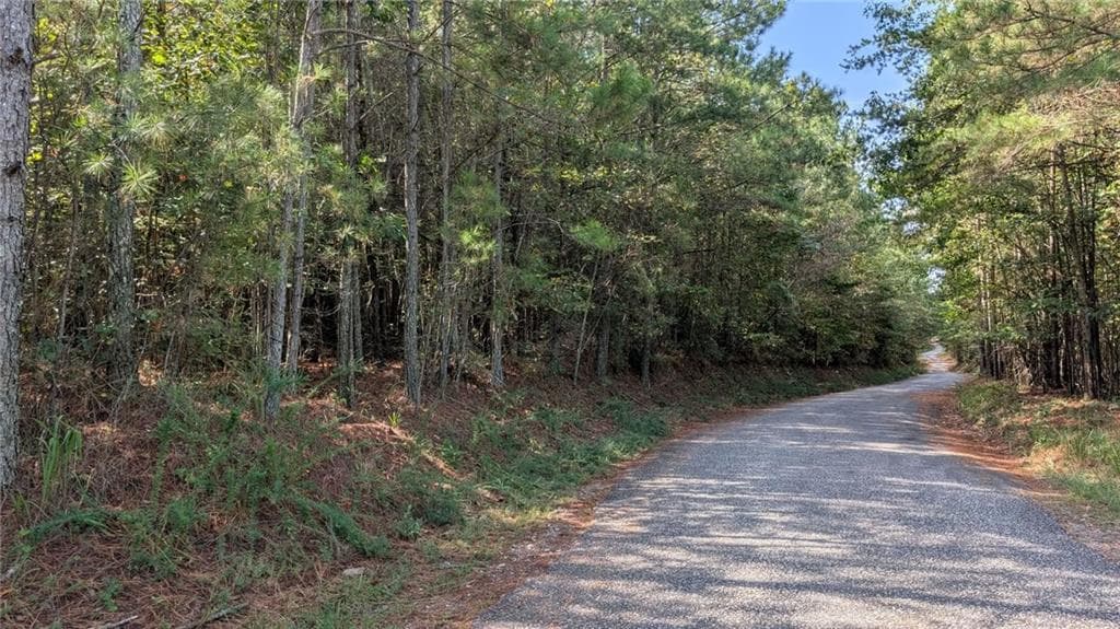 unimproved land for sale at 1088 Ballard Rd, Ball Ground, GA 30107 — photo 2