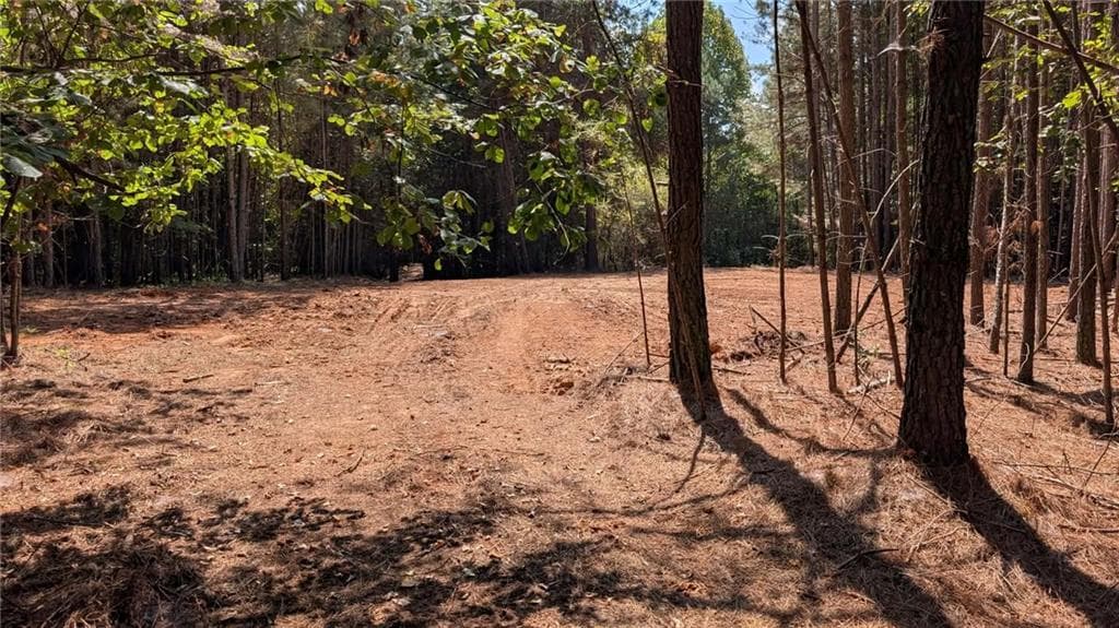 unimproved land for sale at 1088 Ballard Rd, Ball Ground, GA 30107 — photo 3