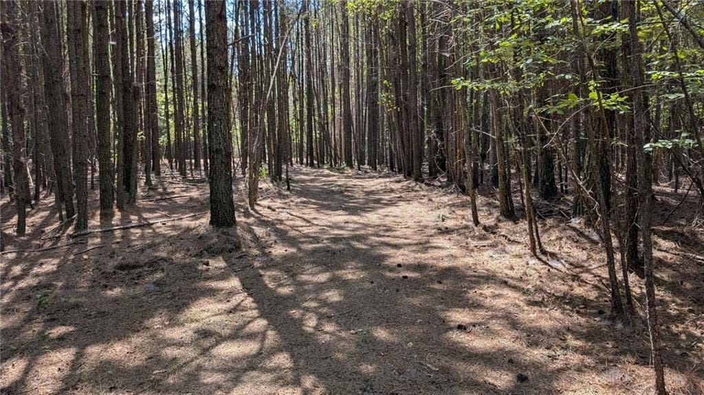 unimproved land for sale at 1088 Ballard Rd, Ball Ground, GA 30107 — photo 4