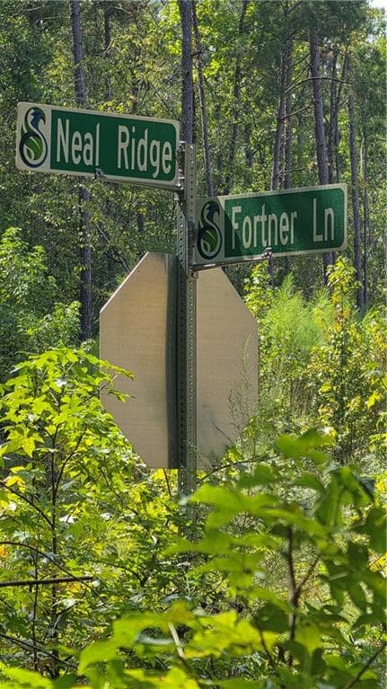 other for sale at 4810 Neal Ridge, Atlanta, GA 30349 — photo 2