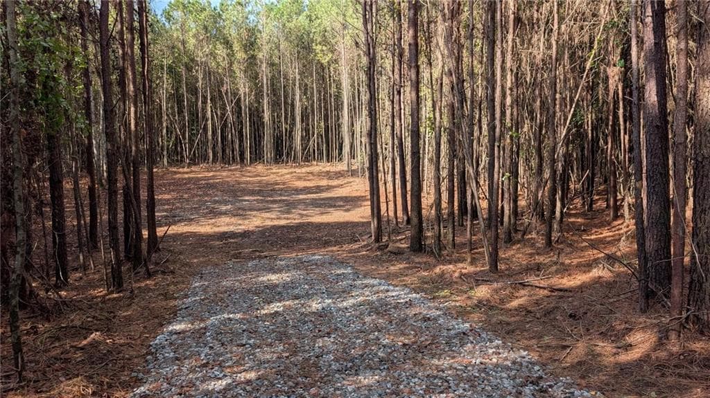 unimproved land for sale at 2446 Soap Creek Rd, Ball Ground, GA 30107 — photo 2