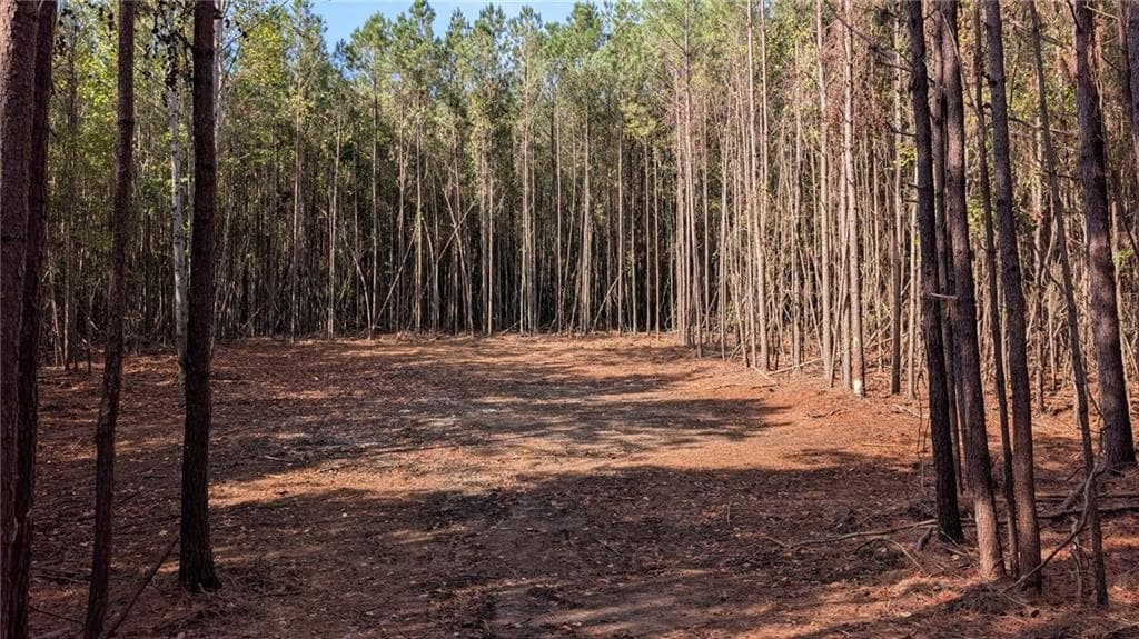 unimproved land for sale at 2446 Soap Creek Rd, Ball Ground, GA 30107 — photo 3