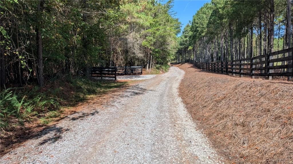 unimproved land for sale at 2446 Soap Creek Rd, Ball Ground, GA 30107 — photo 4