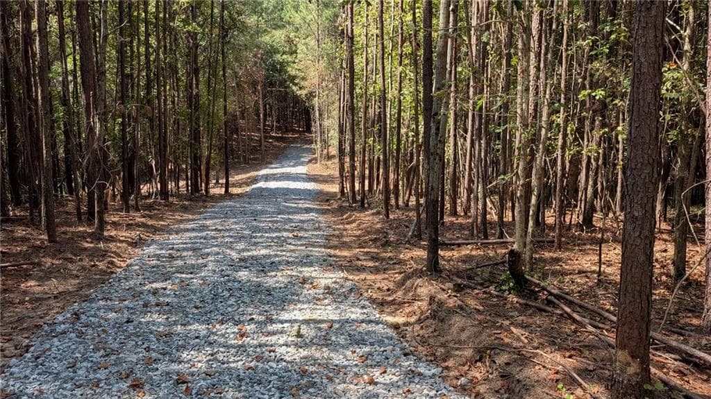 unimproved land for sale at 1124 Ballard Rd, Ball Ground, GA 30107 — photo 2