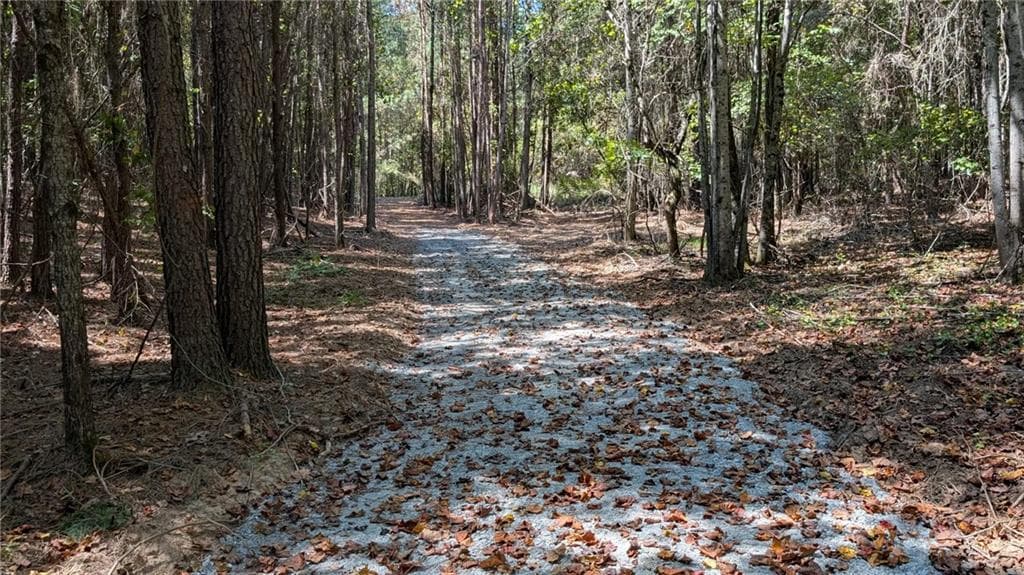 unimproved land for sale at 1124 Ballard Rd, Ball Ground, GA 30107 — photo 3