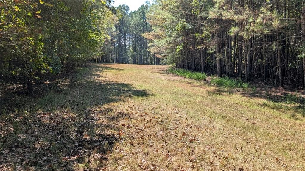 unimproved land for sale at 1124 Ballard Rd, Ball Ground, GA 30107 — photo 4