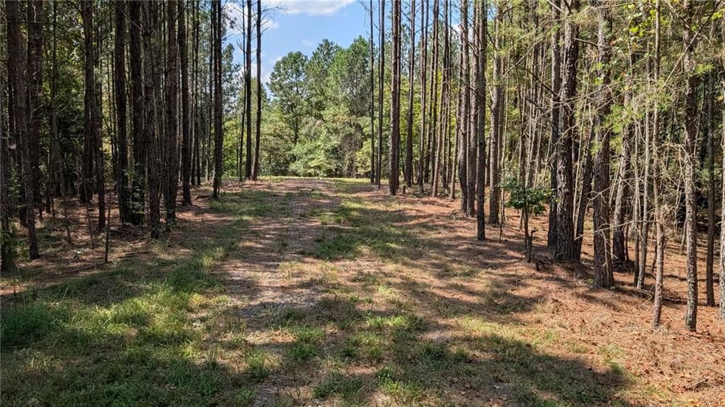 unimproved land for sale at 1150 Ballard Rd, Ball Ground, GA 30107 — photo 3