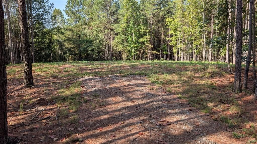unimproved land for sale at 1150 Ballard Rd, Ball Ground, GA 30107 — photo 4