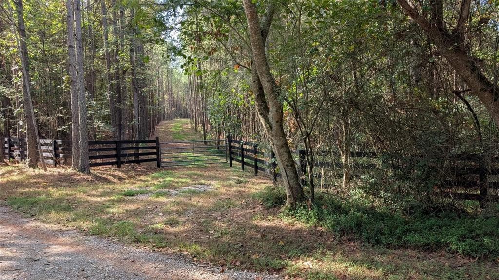 unimproved land for sale at 1158 Ballard Rd, Ball Ground, GA 30107 — photo 3