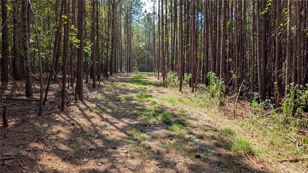 unimproved land for sale at 1158 Ballard Rd, Ball Ground, GA 30107 — photo 2