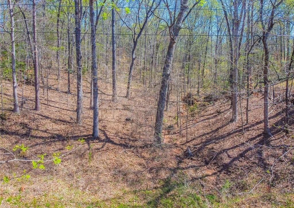 single family residence for sale at 0 Arrow Lane, Lavonia, GA 30553 — photo 3