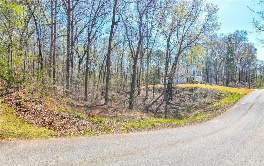 single family residence for sale at 0 Arrow Lane, Lavonia, GA 30553 — photo 4