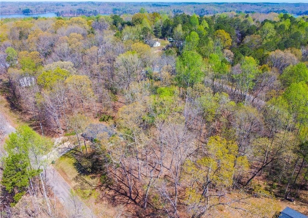 single family residence for sale at 0 Arrow Lane, Lavonia, GA 30553 — photo 6