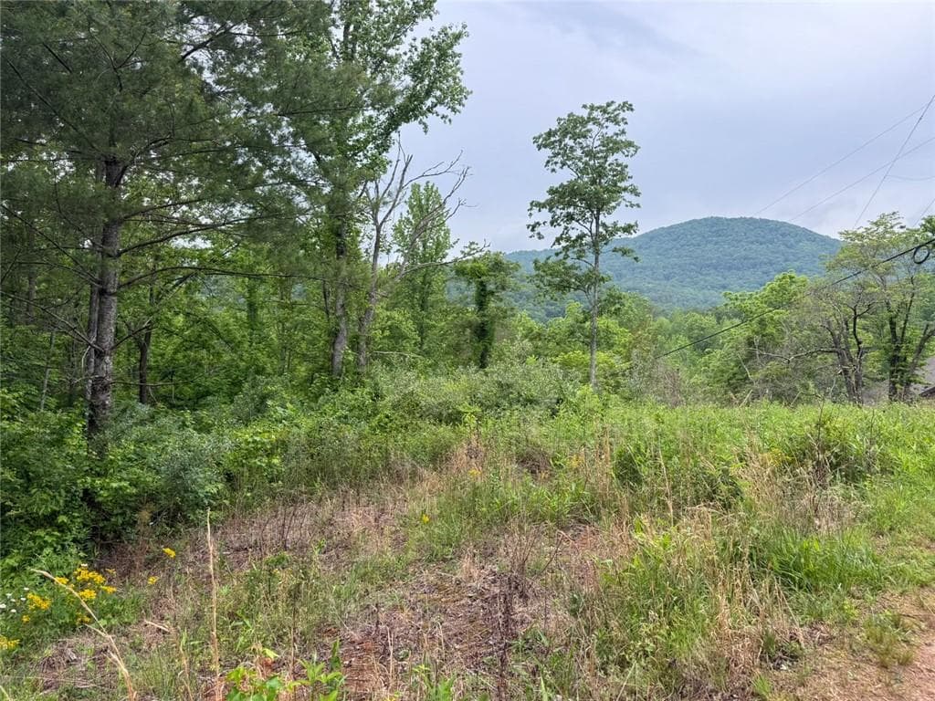 single family residence for sale at Lot 6D Meadow View Lane, Cleveland, GA 30528