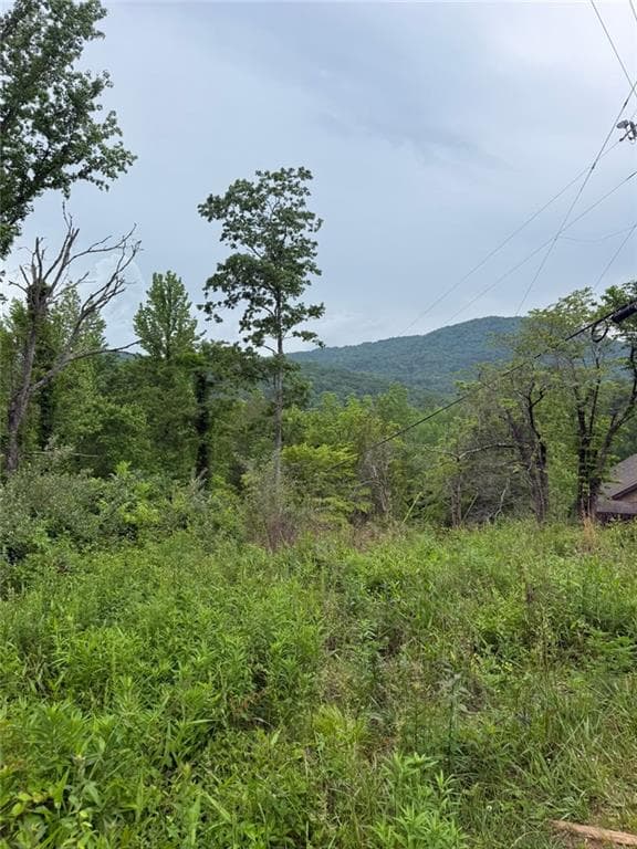 single family residence for sale at Lot 6D Meadow View Lane, Cleveland, GA 30528 — photo 3