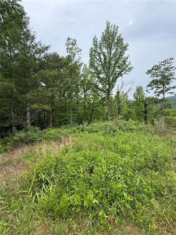 single family residence for sale at Lot 6D Meadow View Lane, Cleveland, GA 30528 — photo 4