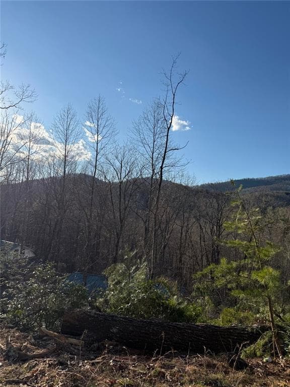 single family residence for sale at Lot 6D Meadow View Lane, Cleveland, GA 30528 — photo 6