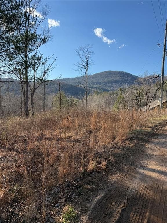 single family residence for sale at Lot 6D Meadow View Lane, Cleveland, GA 30528 — photo 7
