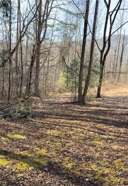 single family residence for sale at Lot 6D Meadow View Lane, Cleveland, GA 30528 — photo 8