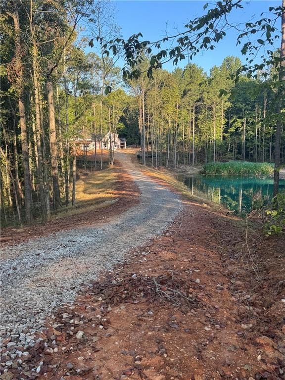 4 bedroom, 3 bathroom, 2,961 sq ft single family residence for sale at 224 Holly Pond Path, Rockmart, GA 30153 — photo 3