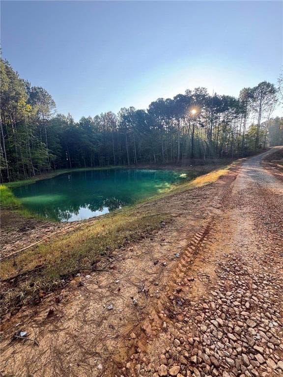 4 bedroom, 3 bathroom, 2,961 sq ft single family residence for sale at 224 Holly Pond Path, Rockmart, GA 30153 — photo 4