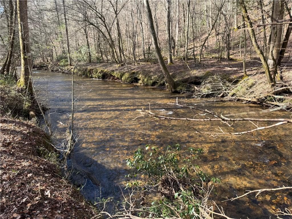 single family residence for sale at 0 Black Falls Road, Dahlonega, GA 30533 — photo 3