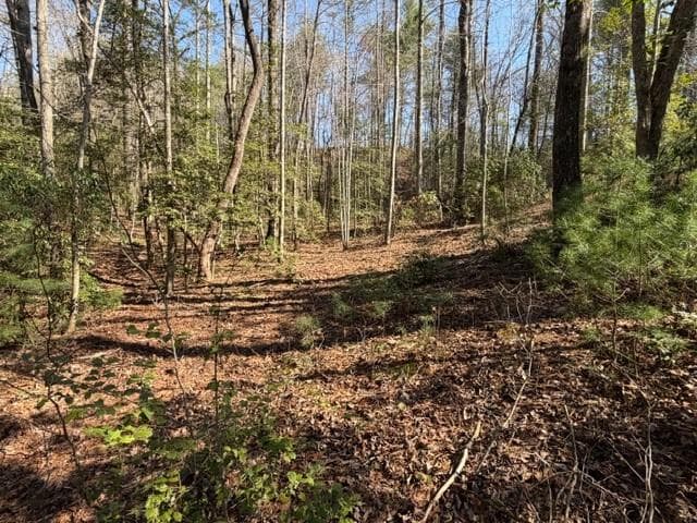 single family residence for sale at 0 Black Falls Road, Dahlonega, GA 30533 — photo 4