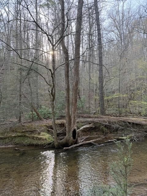 single family residence for sale at 0 Black Falls Road, Dahlonega, GA 30533 — photo 5