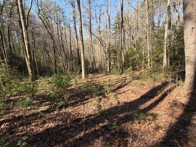 single family residence for sale at 0 Black Falls Road, Dahlonega, GA 30533 — photo 7