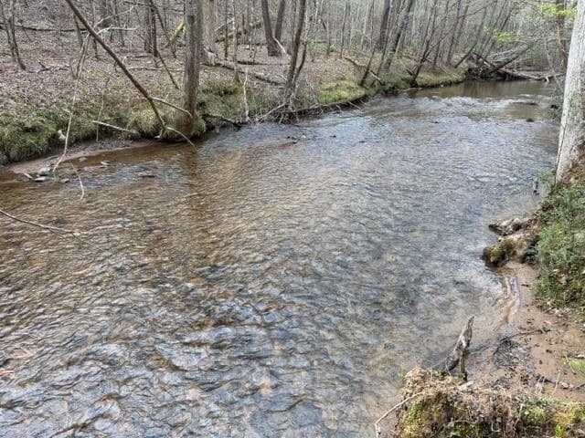 single family residence for sale at 0 Black Falls Road, Dahlonega, GA 30533 — photo 9