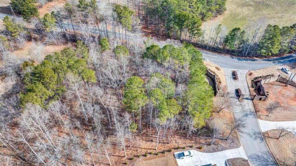 single family residence for sale at 8000 Cascading Shoals, Winston, GA 30187 — photo 4