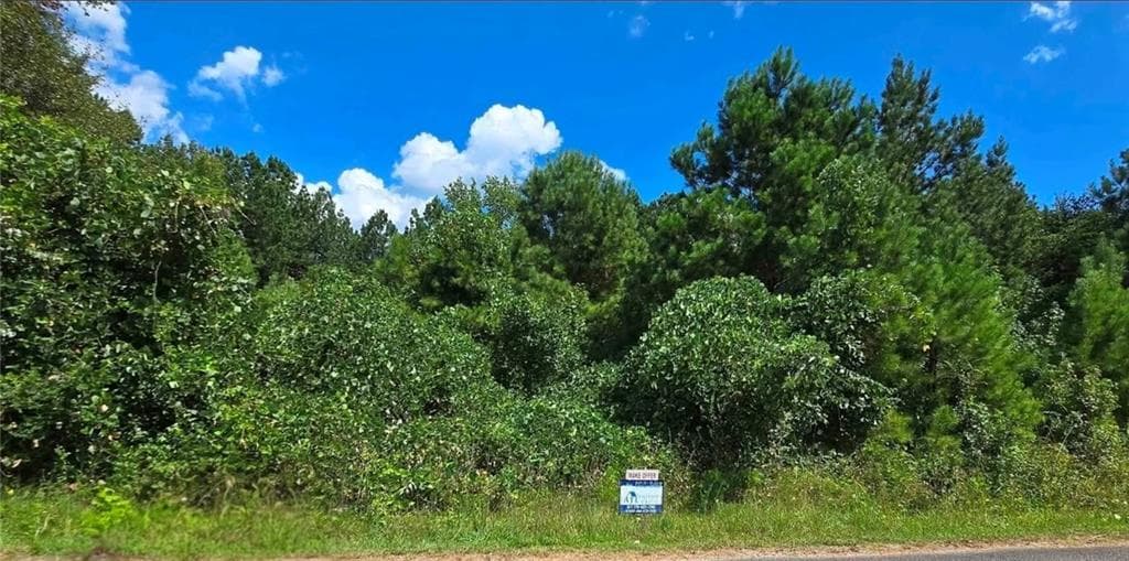 unimproved land for sale at 0 Beechwood Road, Elberton, GA 30635 — photo 5
