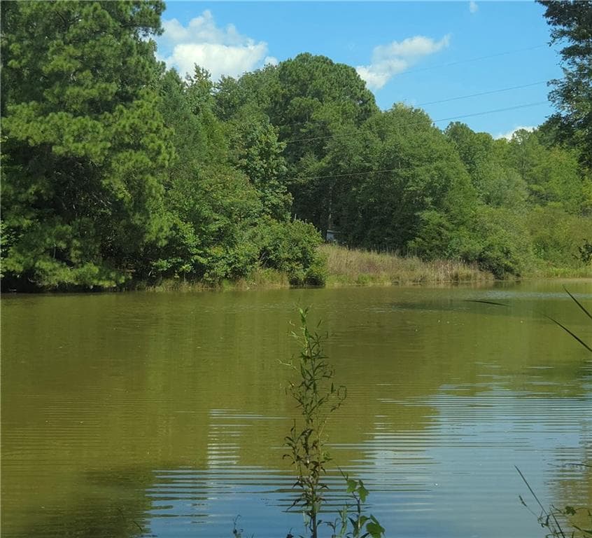 unimproved land for sale at 0 Beechwood Road, Elberton, GA 30635 — photo 6