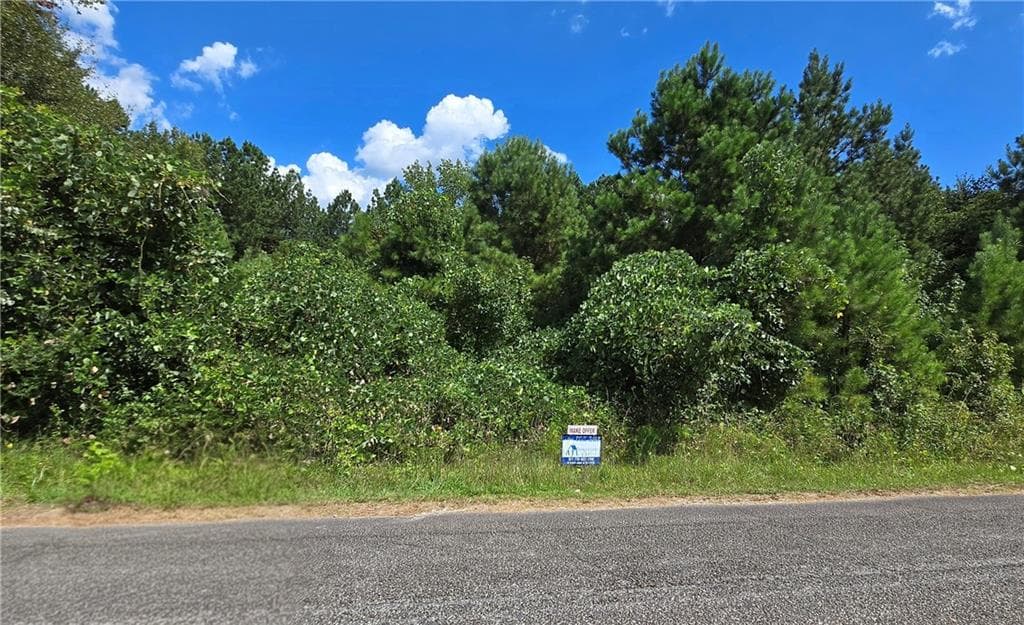 unimproved land for sale at 0 Beechwood Road, Elberton, GA 30635 — photo 8