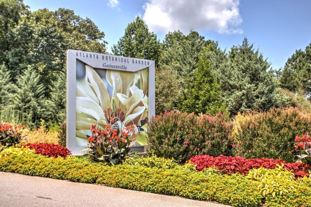 4 bedroom, 5 bathroom, 3,619 sq ft single family residence for sale at 8025 Bethel Road, Gainesville, GA 30506 — photo 5