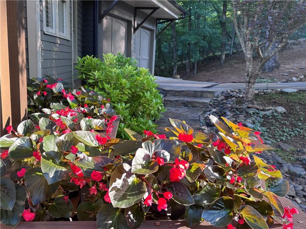 3 bedroom, 3 bathroom, 3,441 sq ft single family residence for sale at 370 Mountain Trace Drive, Dahlonega, GA 30533 — photo 5