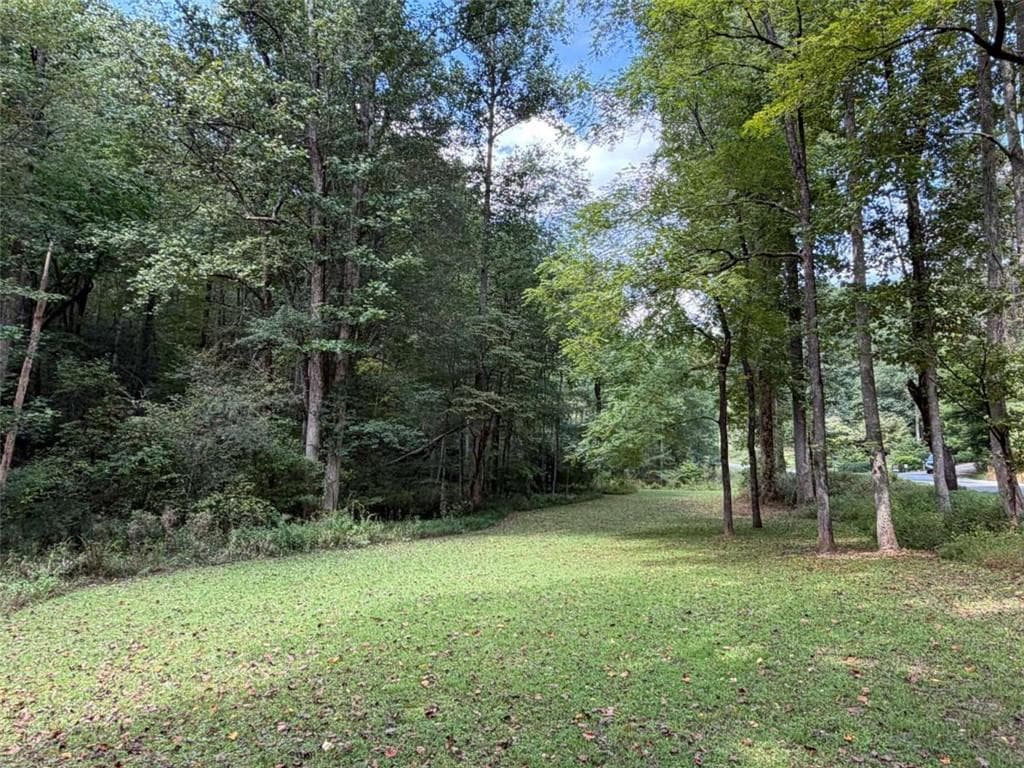 unimproved land under contract at 6.13Ac Lucius Road, Cherry Log, GA 30522 — photo 3